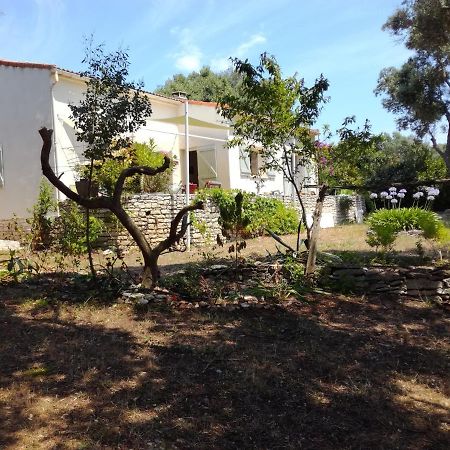 בוניפסיו Bonifacio, Maison 90M² Sous Les Oliviers, Vue Sardaigne מראה חיצוני תמונה