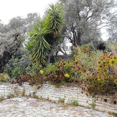 בוניפסיו Bonifacio, Maison 90M² Sous Les Oliviers, Vue Sardaigne מראה חיצוני תמונה