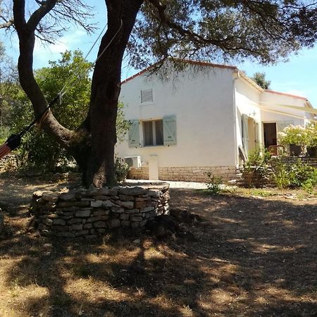 בוניפסיו Bonifacio, Maison 90M² Sous Les Oliviers, Vue Sardaigne מראה חיצוני תמונה