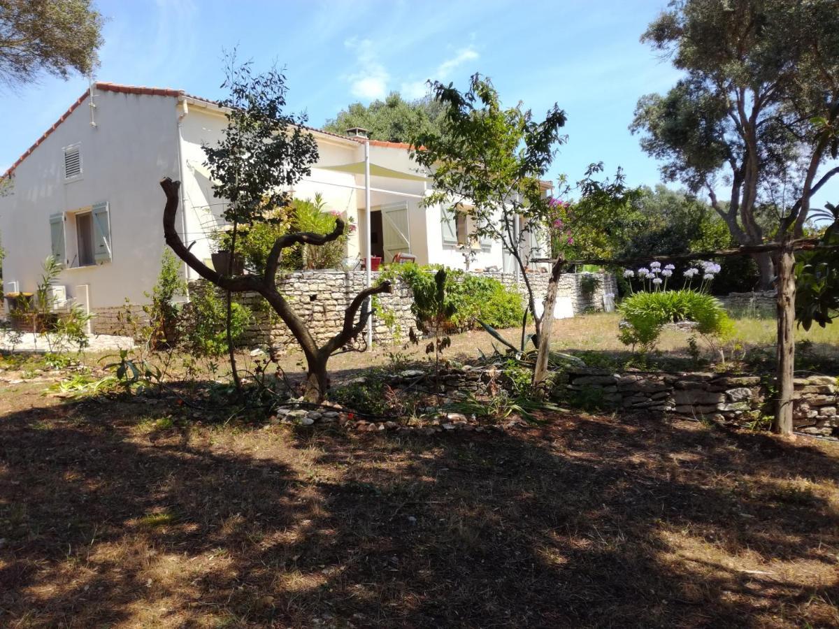 בוניפסיו Bonifacio, Maison 90M² Sous Les Oliviers, Vue Sardaigne מראה חיצוני תמונה