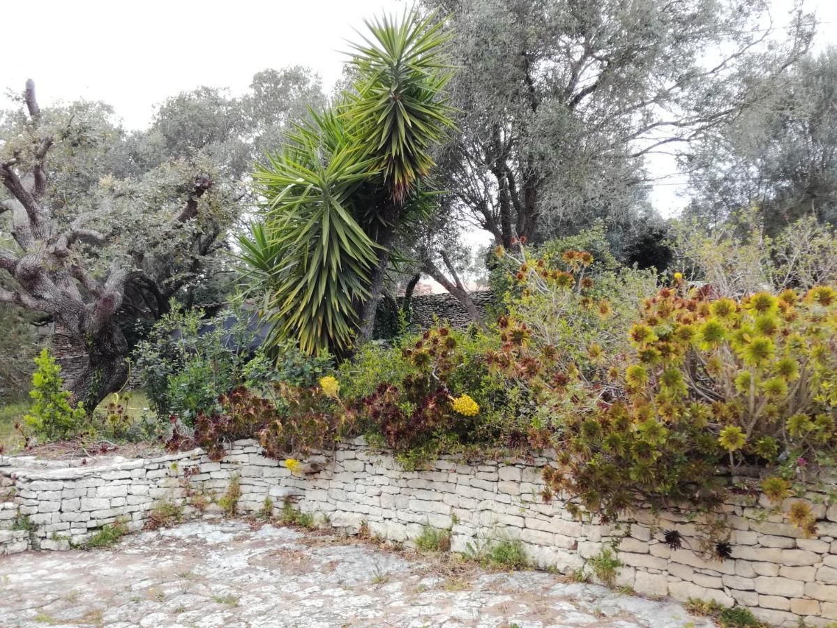בוניפסיו Bonifacio, Maison 90M² Sous Les Oliviers, Vue Sardaigne מראה חיצוני תמונה