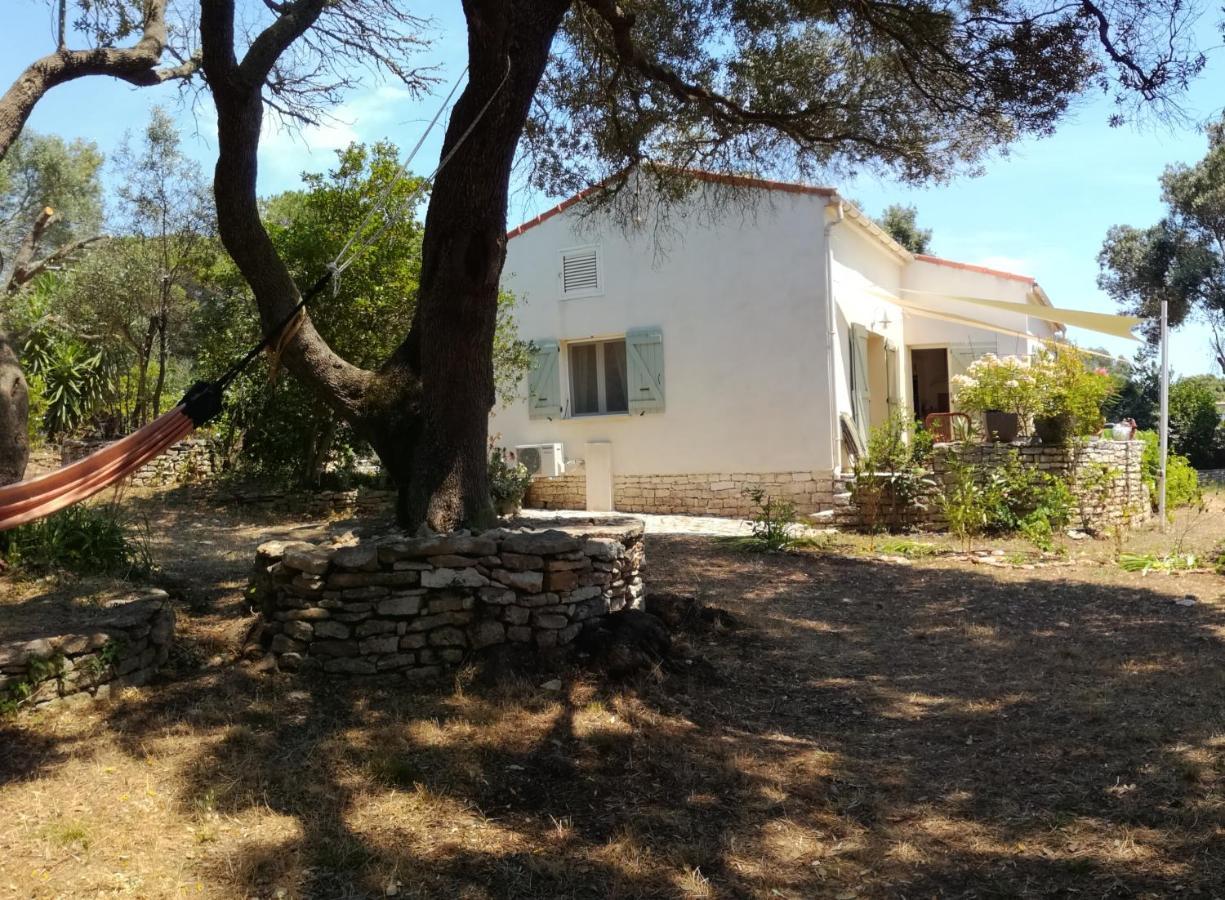 בוניפסיו Bonifacio, Maison 90M² Sous Les Oliviers, Vue Sardaigne מראה חיצוני תמונה