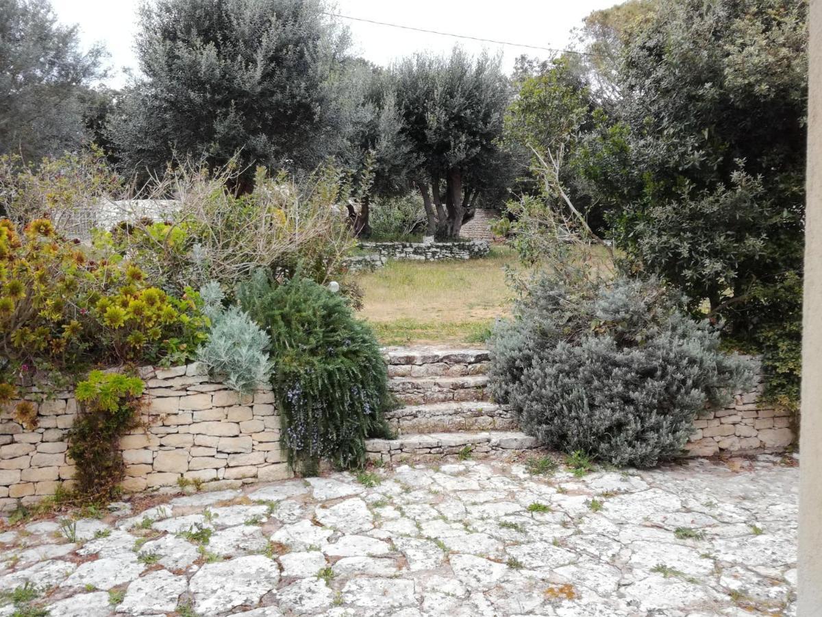 בוניפסיו Bonifacio, Maison 90M² Sous Les Oliviers, Vue Sardaigne מראה חיצוני תמונה